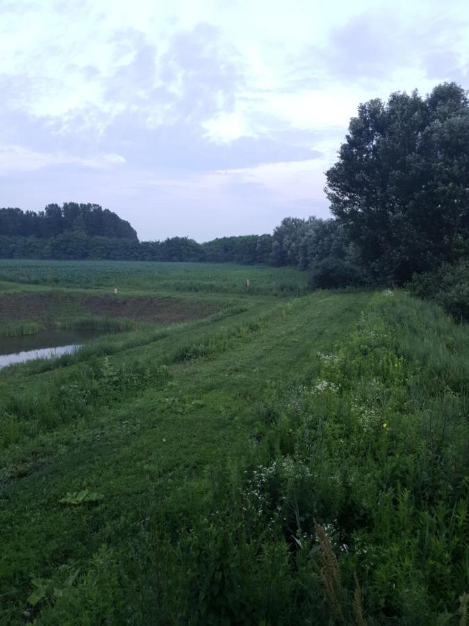 Nowhere Nyirmihalydi Kültér fotó